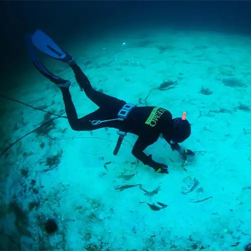 A person in a scuba suit is diving in the ocean.