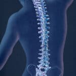 Visjon av menneskekroppens ryggrad og nervesystem.